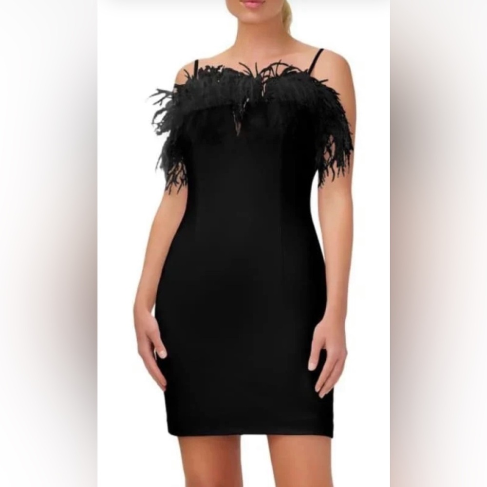 Klesis Black Dress